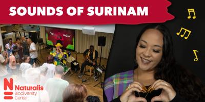 Muzikanten treden op voor een publiek. Aan de rechterkant van het beeld maakt een vrouw een hartvorm met haar handen.